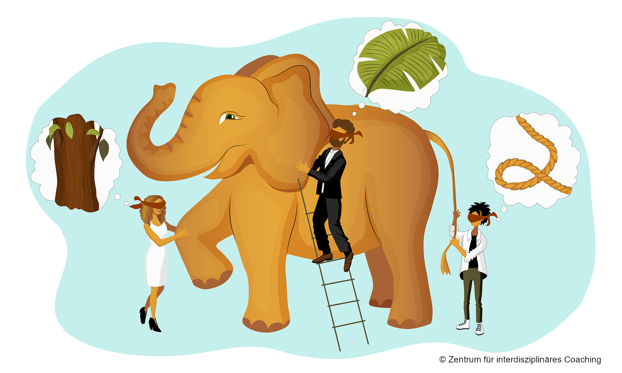 Was ein Elefant mit einer interdisziplinären Coaching-Ausbildung zu tun hat