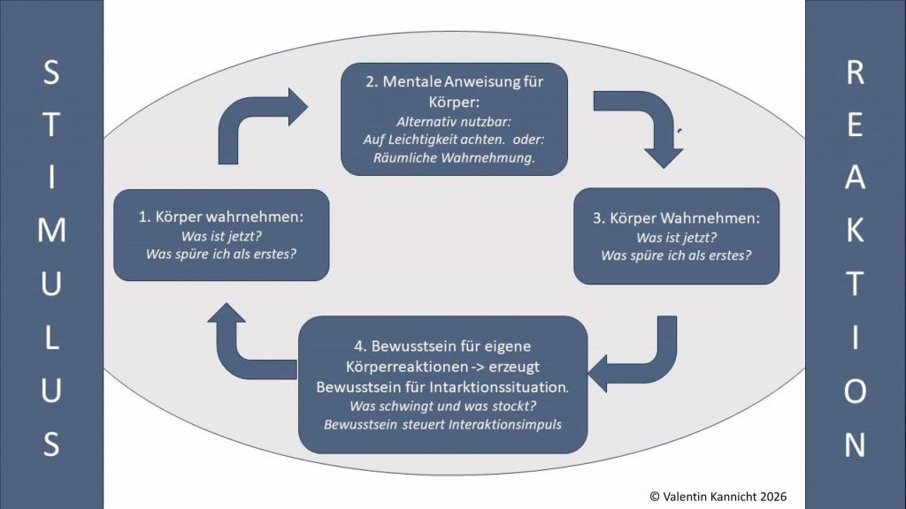 Vom Reiz zur Reaktion