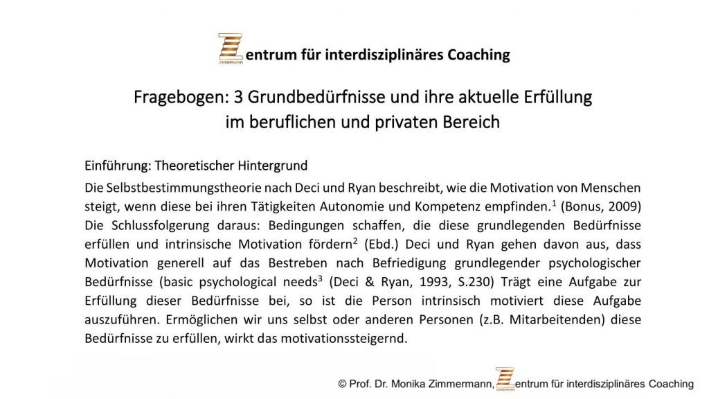 Fragebogen Grundbedürfnisse
